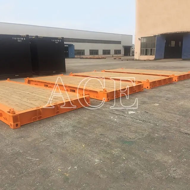 Custom Size Shipping Containers ACE Container, 3