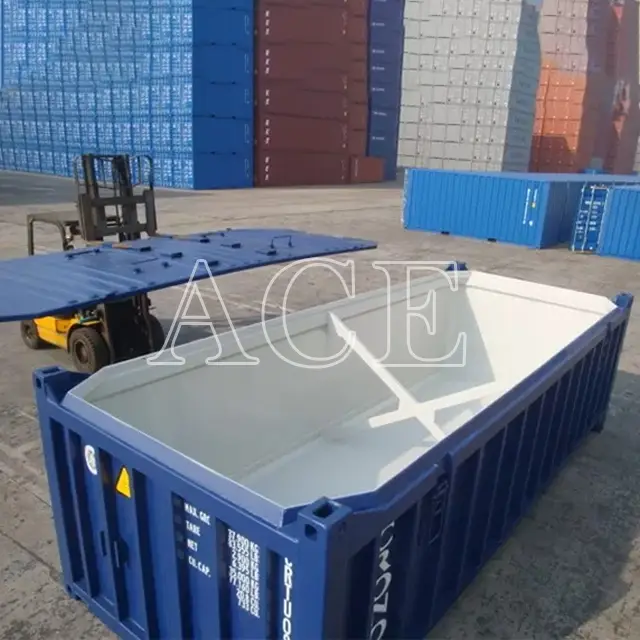 Custom Containers for Sale 20HH/H ACE Container Company 3