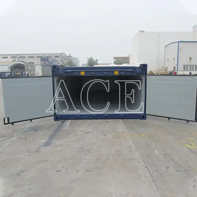 Custom Containers for Sale 20HH/H ACE Container Company 4