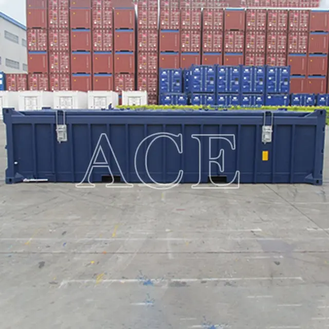 Custom Containers for Sale 20HH/H ACE Container Company 5