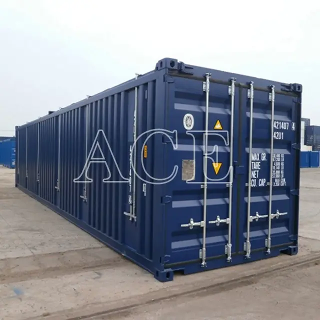 Sea Container Manufacturers 40OT/H ACE Container Brand 2