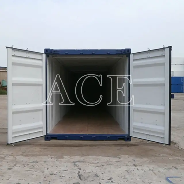 Sea Container Manufacturers 40OT/H ACE Container Brand 6