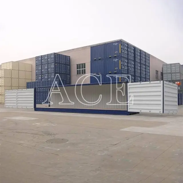 40ft Container ACE Container Brand 40OS 5
