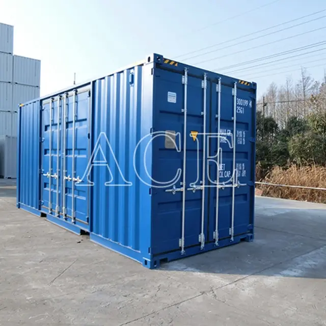 Custom Containers for Sale 20HC/SD ACE Container Company 2