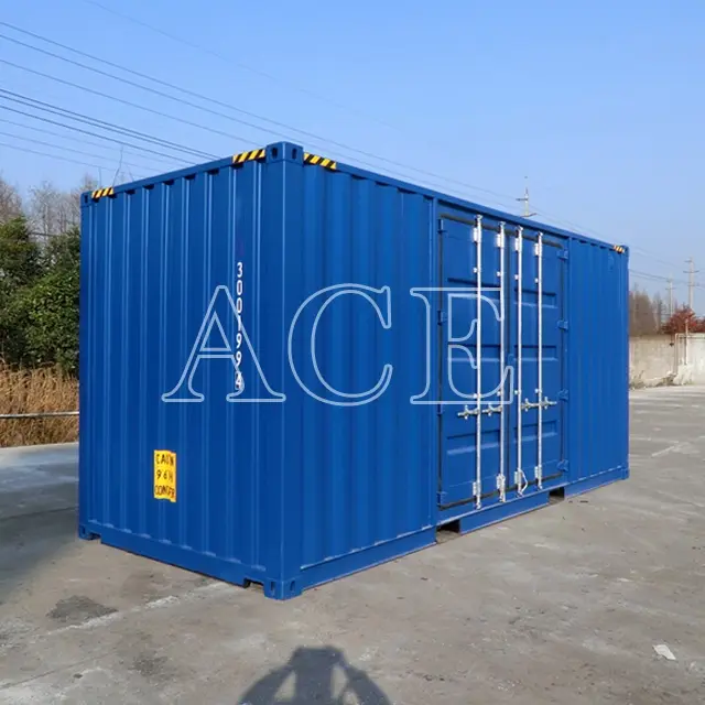 Custom Containers for Sale 20HC/SD ACE Container Company 3