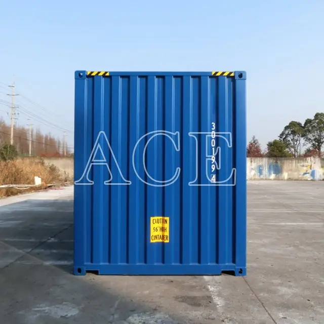 Custom Containers for Sale 20HC/SD ACE Container Company 4