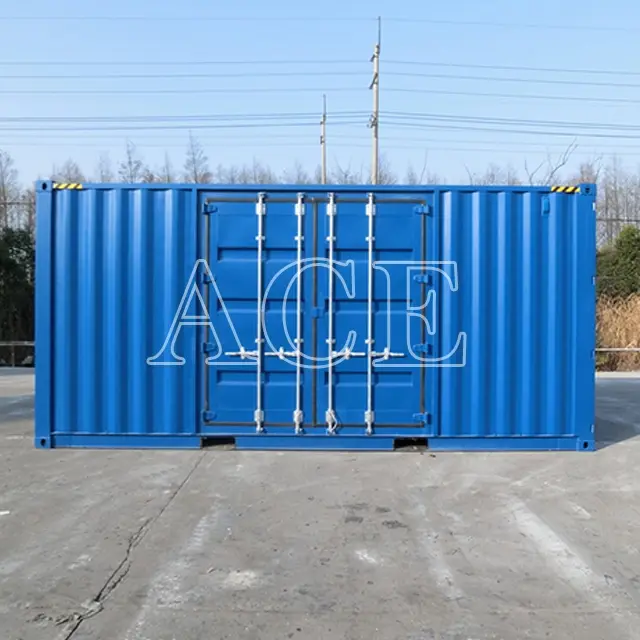Custom Containers for Sale 20HC/SD ACE Container Company 5