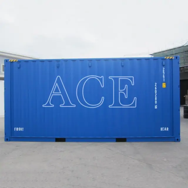 Custom Chinese Container Manufacturers 20HC/DR ACE Container 6