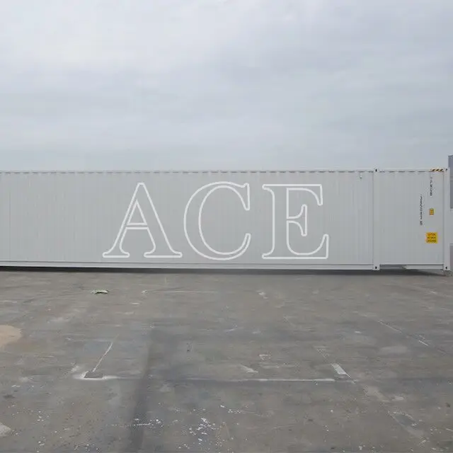 Custom Shipping Container Factory 53HC NA ACE Container 6