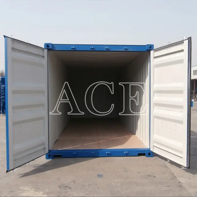 Cargo Container Manufacturers ACE Container Manufacture 20GP 3