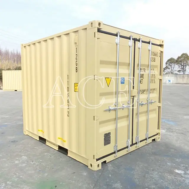 20ft Shipping Container ACE Container,10GP 2
