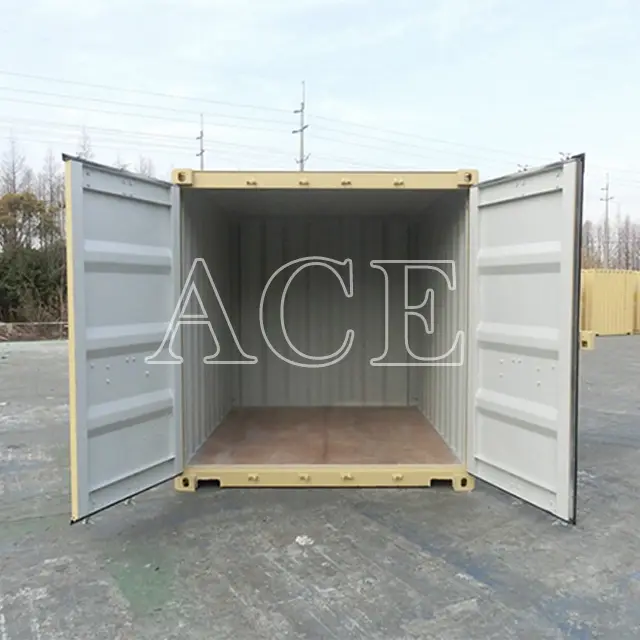 20ft Shipping Container ACE Container,10GP 4