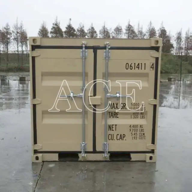 20ft Container for Sale ACE Container Manufacture 06DV 2