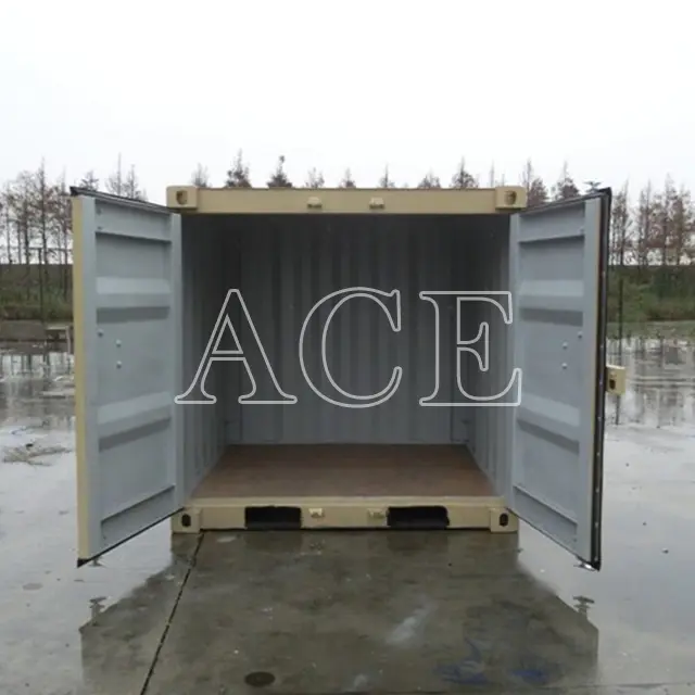20ft Container for Sale ACE Container Manufacture 06DV 4