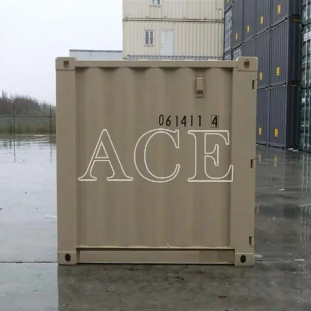 20ft Container for Sale ACE Container Manufacture 06DV 5