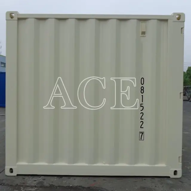 20ft Container for Sale ACE Container Manufacture 06DV 6