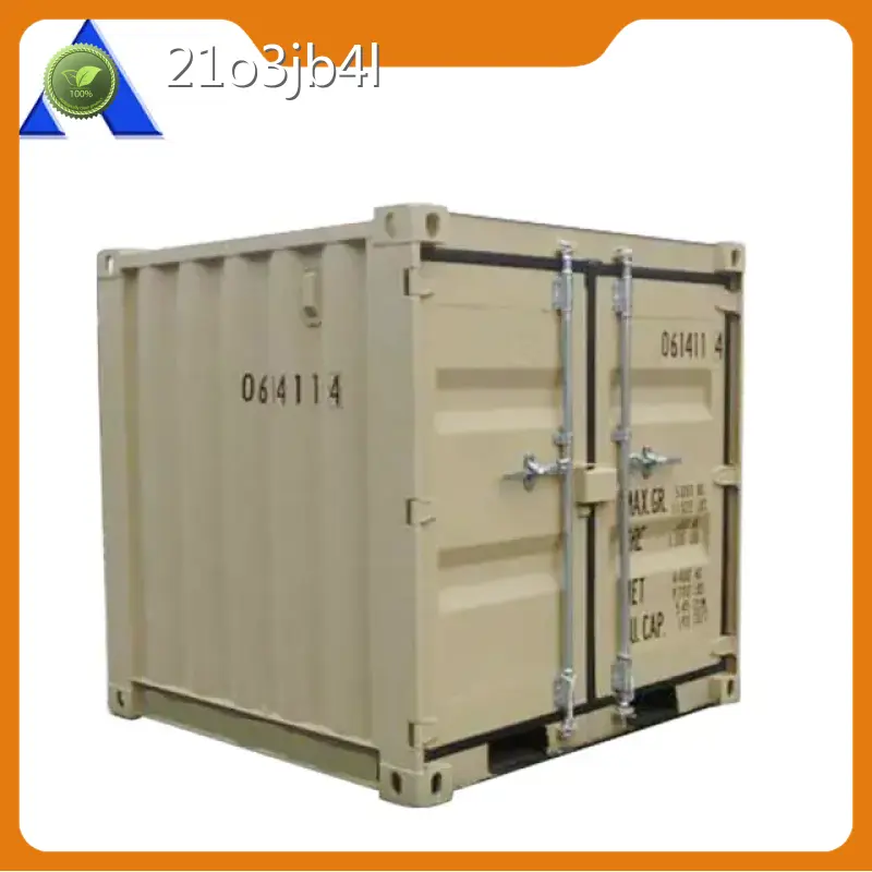 20ft Container for Sale ACE Container Manufacture 06DV 1