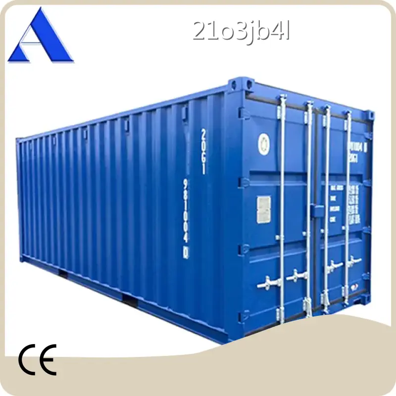 Cargo Container Manufacturers ACE Container Manufacture 20GP 1