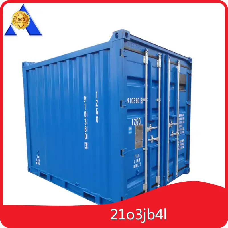 Custom Dnv Offshore Containers ACE Container 1