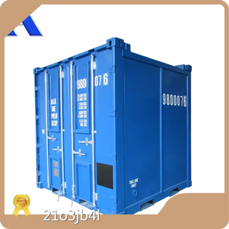 Hotoffshore Reefer Container ACE Container Brand 1