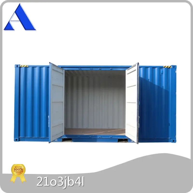 Custom Containers for Sale 20HC/SD ACE Container Company 1