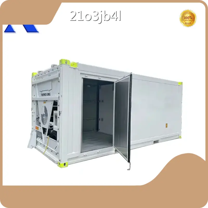 Offshore Reefer Container ACE Container, 1