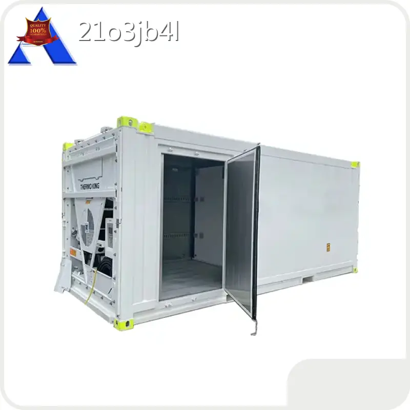 20ft Offshore Container ACE Container, 1