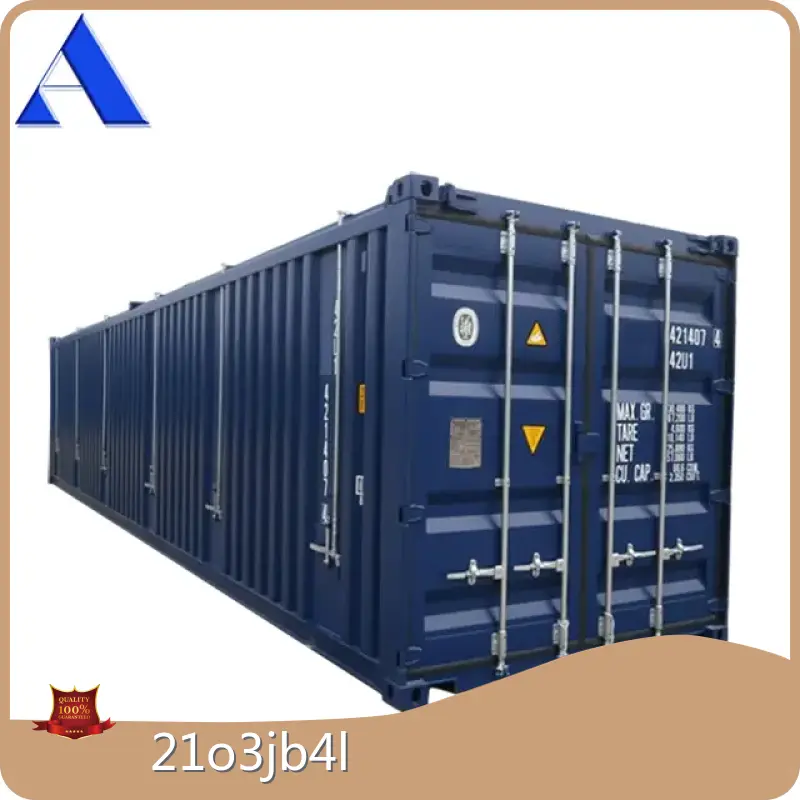 Sea Container Manufacturers 40OT/H ACE Container Brand 1