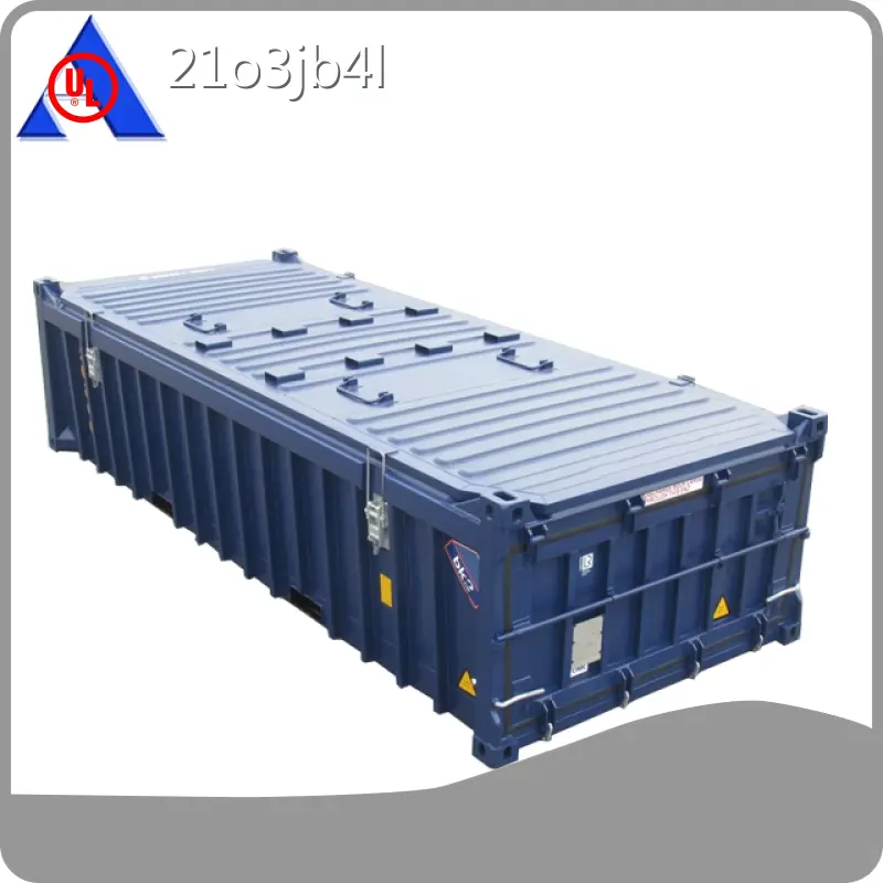 Custom Containers for Sale 20HH/H ACE Container Company 1
