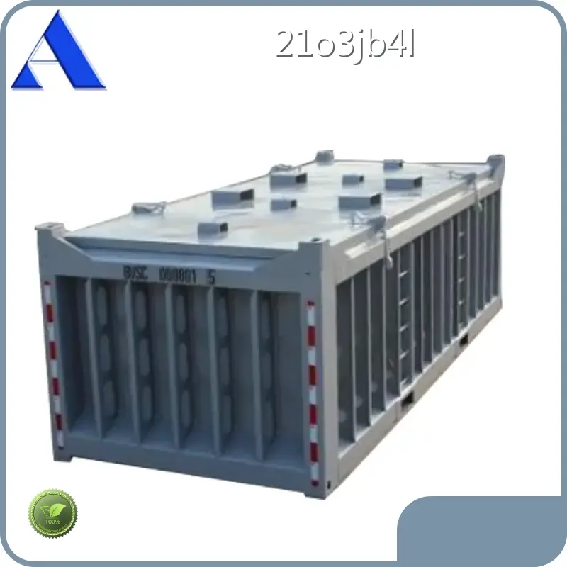 Shipping Container - - ACE Container 1