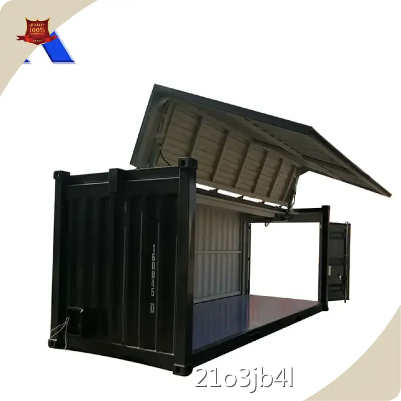 Container Van House by ACE Container 1