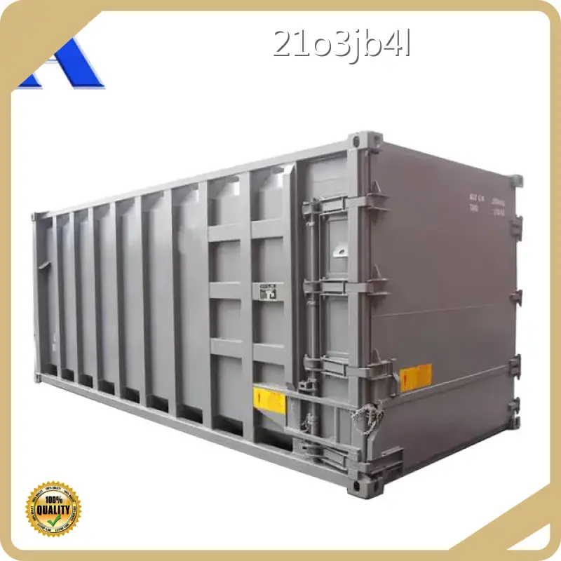 Bespoke Shipping Containers Wholesale - ACE Container 1