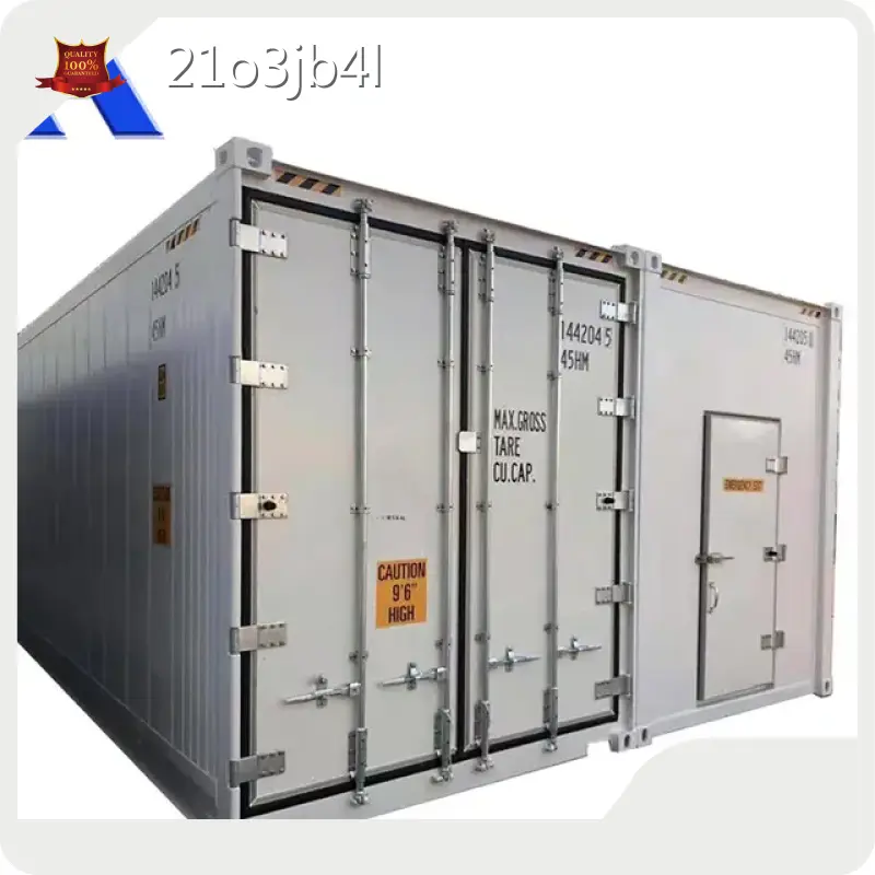 Refrigerated Sea Container ACE Container Company 1