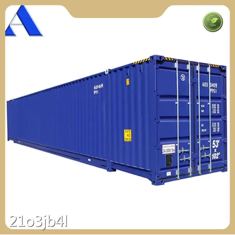Custom Shipping Container Factory 53HC NA ACE Container 1
