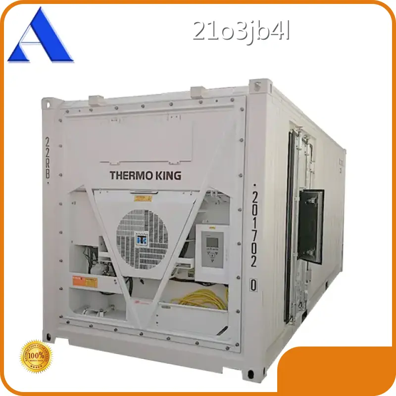 20ft Reefer Container 20RF/DD by ACE Container 1