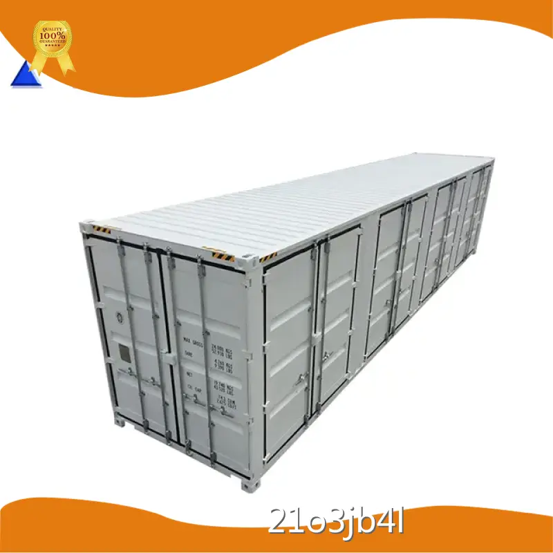 40ft Container ACE Container,40HC 1