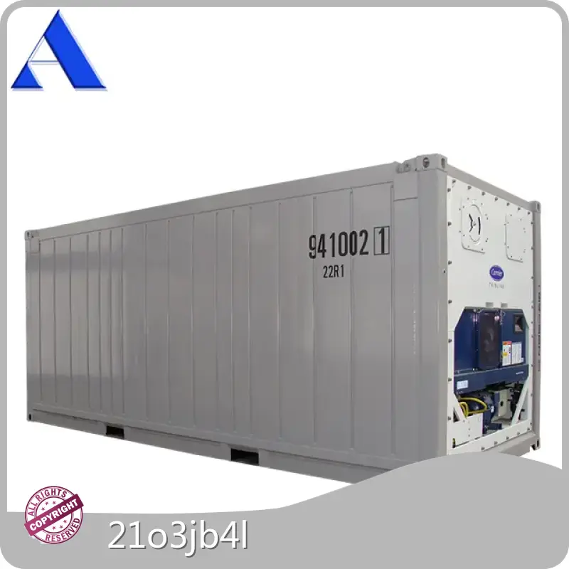 Offshore Dnv Containers OFFRF20 - - ACE Container 1