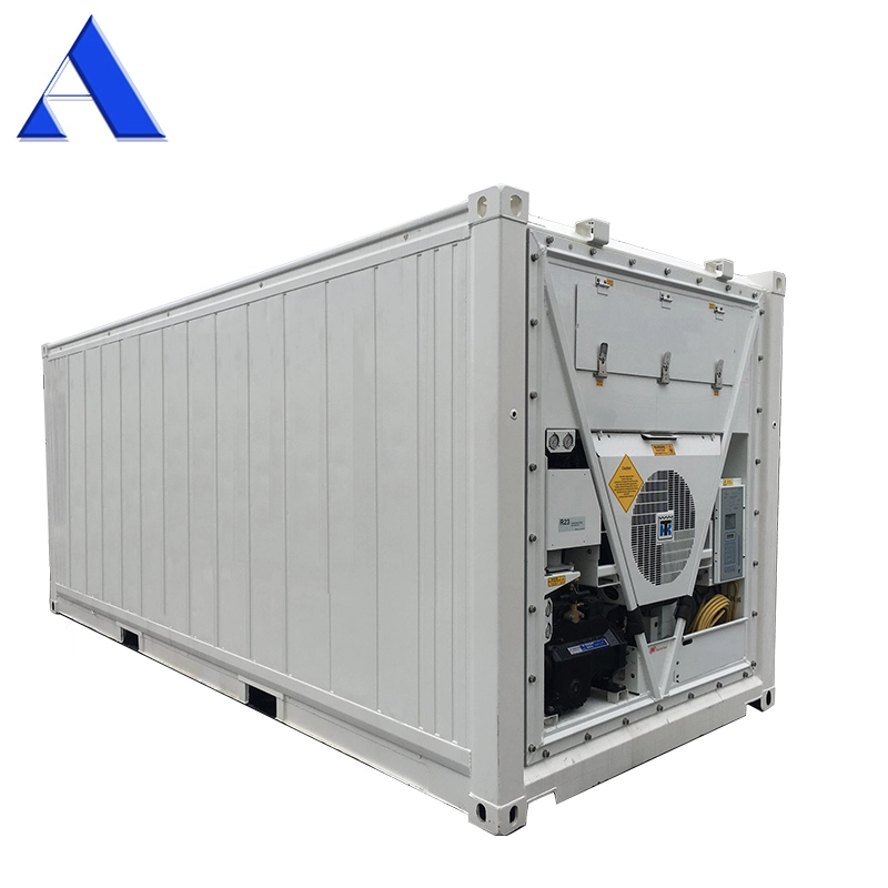 20ft Deep Freezer Reefer Container 1