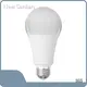 Home Lighting Solutions - - New Sanlian 1