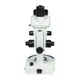 Laboratory Microscope Manufacturers - for Dslr - HONYU-1 6