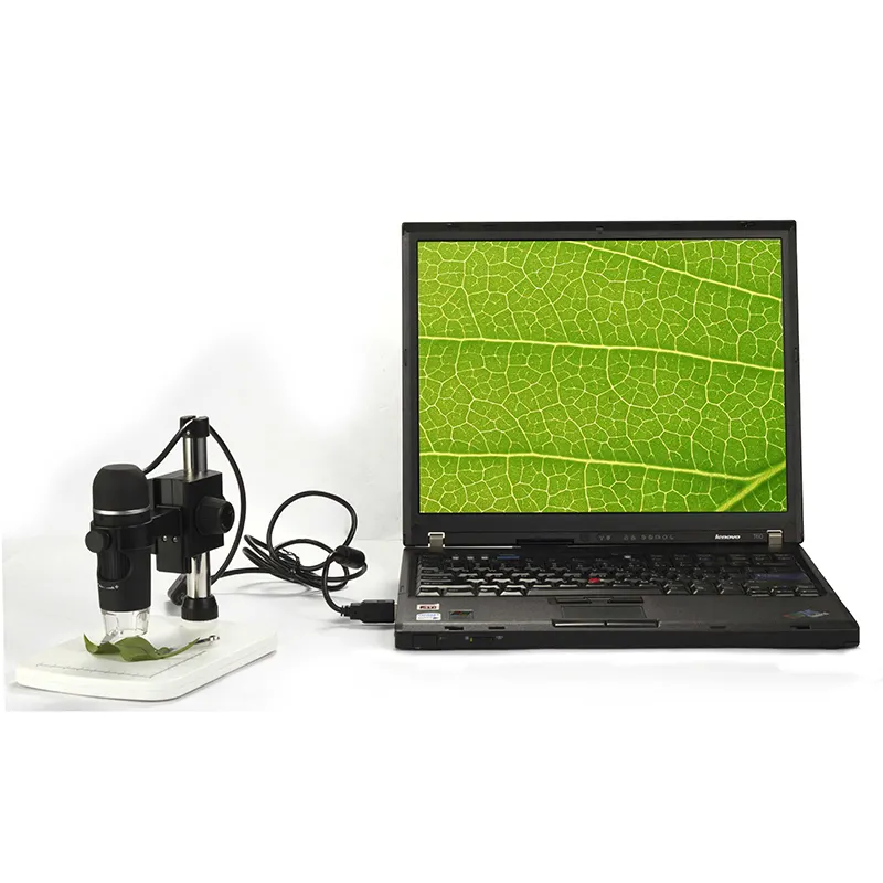 For Dslr Operating Microscope in Endodontics by HONYU 6