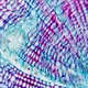 Microscope Reduction Lens Inquire Now 9