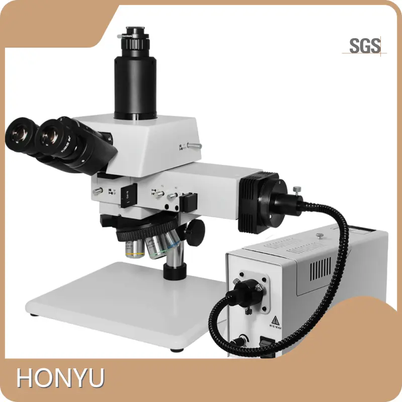 Oem & Odm Scanning Electron Microscope Suppliers Price List 1