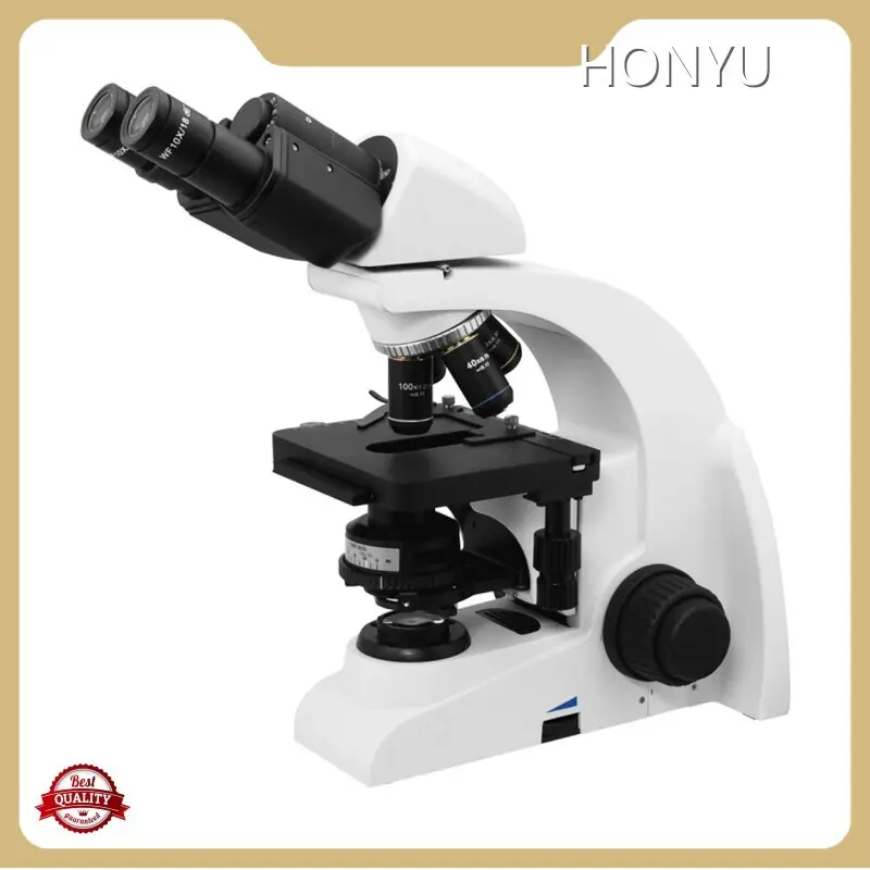 Scanning Electron Microscope Manufacturers for Sale Directly Sale 1