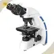 Quality Scanning Electron Microscope Suppliers Price List 1