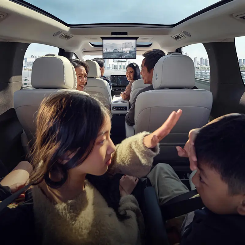 Topsociety of Manufacturers of Electric Vehicles for Home 3