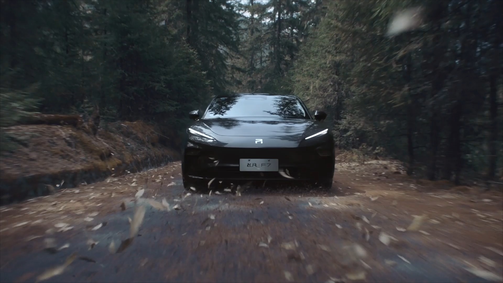 Zeekr 009 Luxury MPV