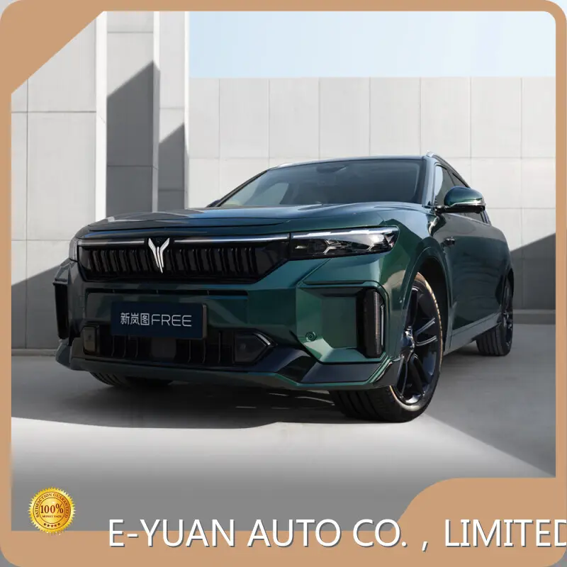 Wholesale New Energy Cars New Arrival for Business 1