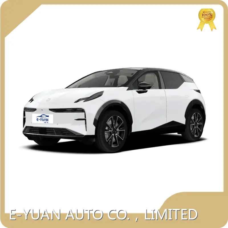 Hot Pure Ev Factory 5 E-YUAN Brand 1