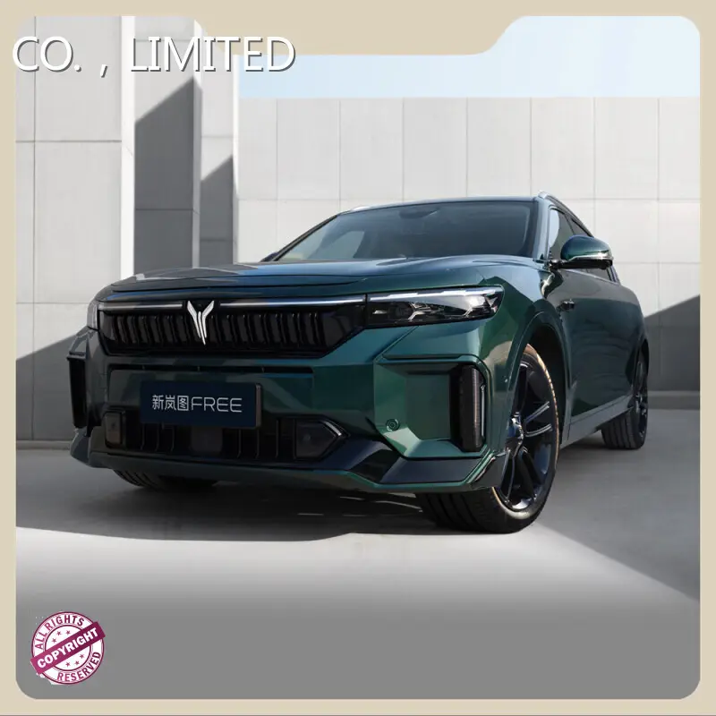 Best Pure Electric Cars E-YUAN Brand 1